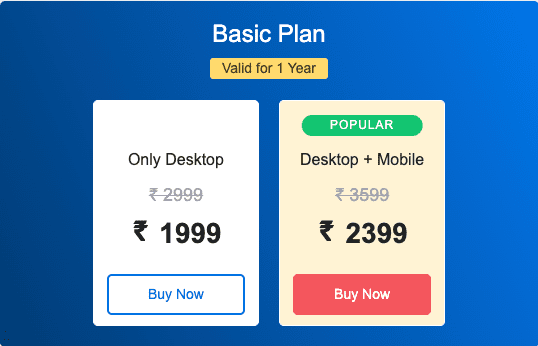 Vyapar Basic Plan